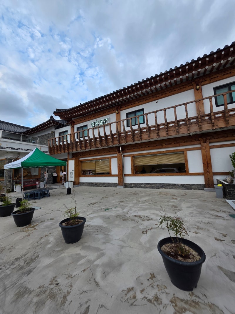 경주 불국사 근처 맛집｜명동쫄면 불국점, 쫄면 9천 원에 푸짐하게!