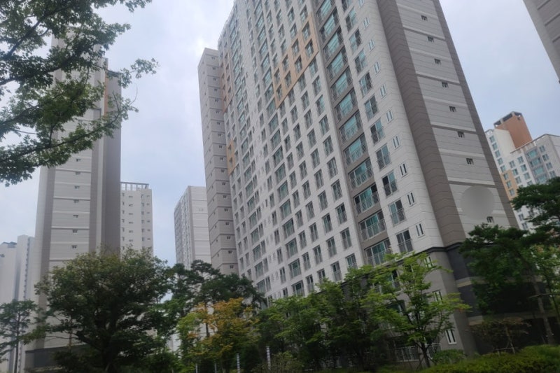 9월 재산세납부 방법 아파트, 건물, 땅 네이버페이로 완료