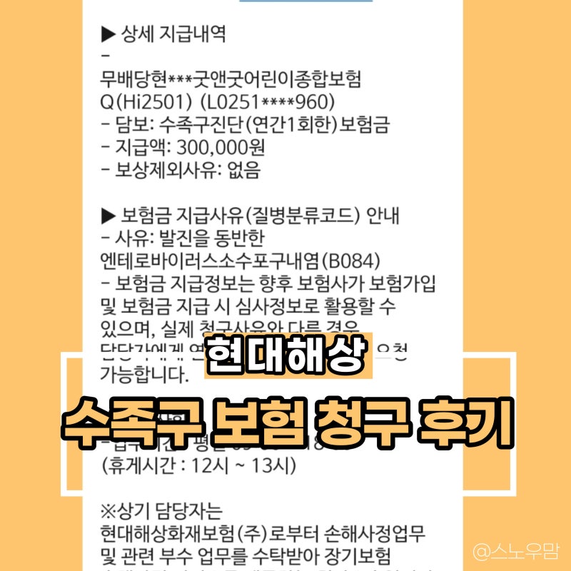 아기 수족구 현대해상 보험금받기(임상적추정)