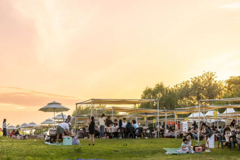 When to Book the 2026 Seoul BBQ Festa? Schedule and Last Year's Reviews