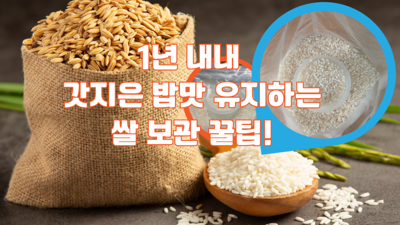 쌀벌레 잡으려다 지퍼백만 뚫렸다는 슬픈 전설, 지퍼락으로 끝냈습니다