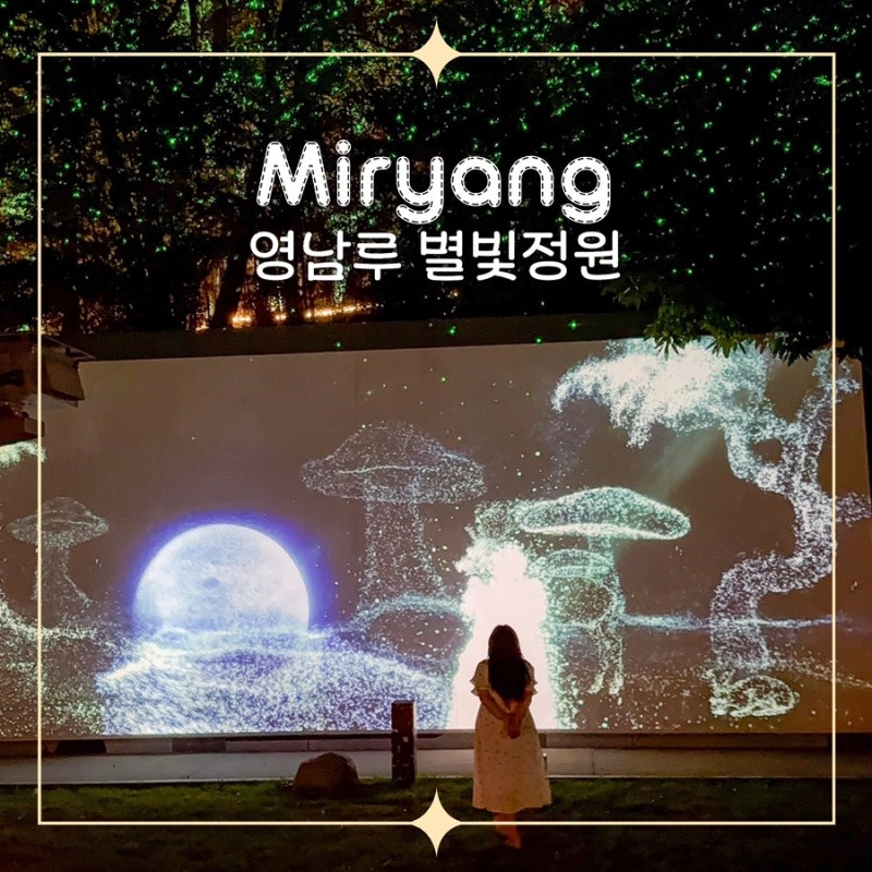 새로운 야경 명소!! 밀양 여행 영남루 별빛정원 야간