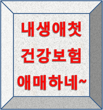 사회초년생 첫 보험으로 DB손해보험 내생애첫건강보험 괜찮을까