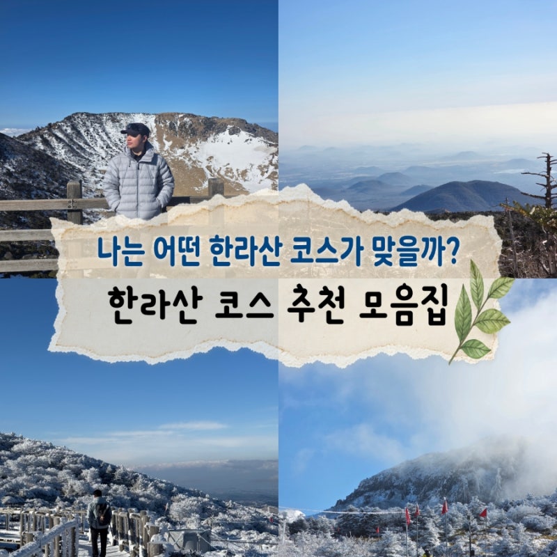 “어디로 올라야 할까?” 한라산 등산코스 추천, 난이도별 정리