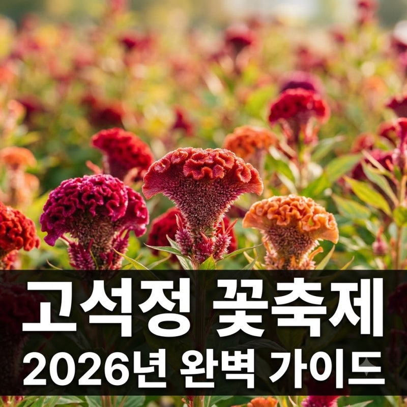 철원 고석정 꽃축제 2026: 기간, 입장료, 꽃 종류와 꿀팁까지 총정리!