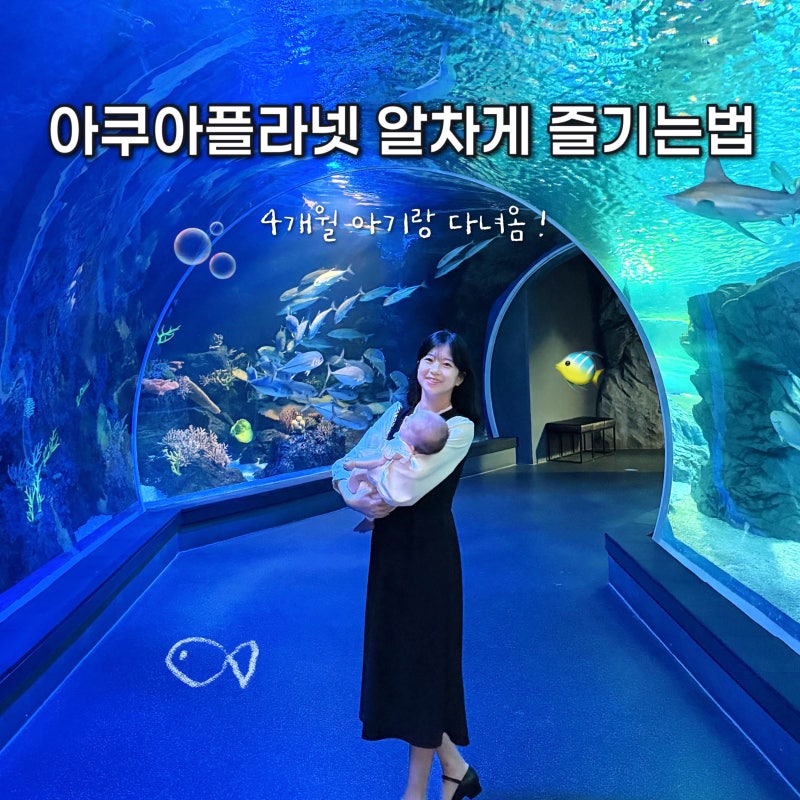 수원 가볼만한곳 광교 아쿠아플라넷 아기와 놀거리