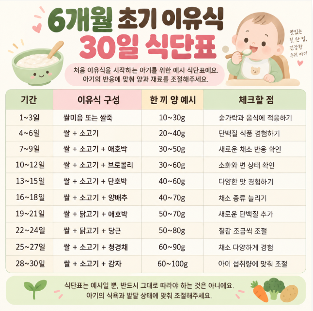 초기 이유식 식단표, 6개월 아기 첫 이유식 재료 순서부터 양까지