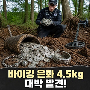 금속탐지기 돌리다 대박…바이킹 은화 4.5kg 발견한 남자의 정체