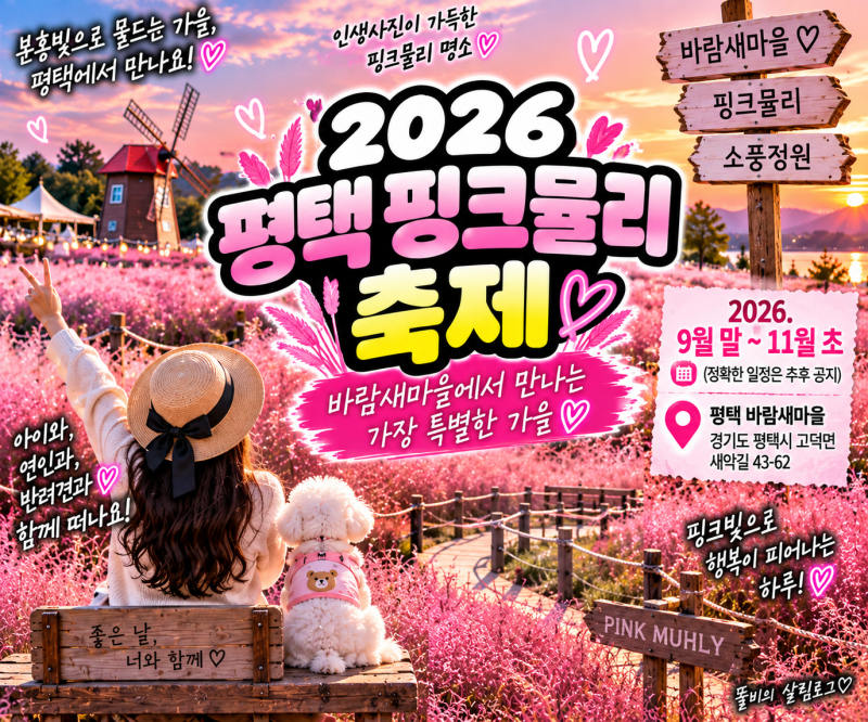 2026 평택 핑크뮬리｜바람새마을 개화시기·입장료·주차·사진 명당