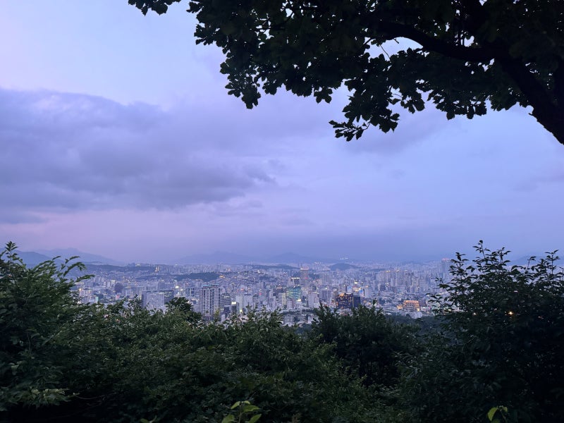 서울 시티투어버스 야경투어|아이와 타본 2층버스 남산 한강 코스