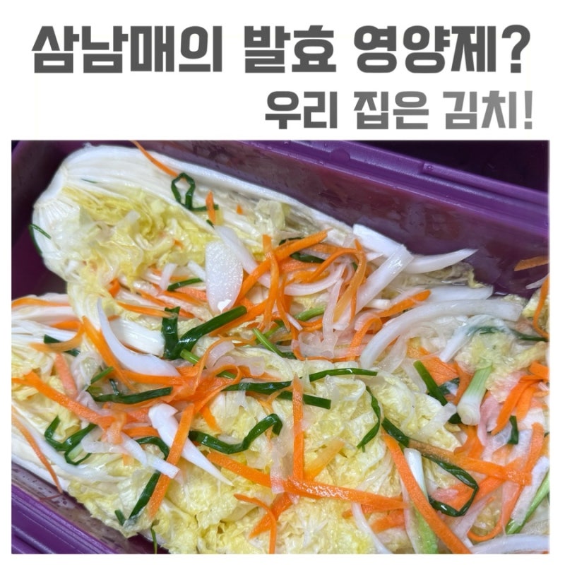 아이 백김치·동치미 만들기｜김치 없인 밥 못 먹는 삼남매