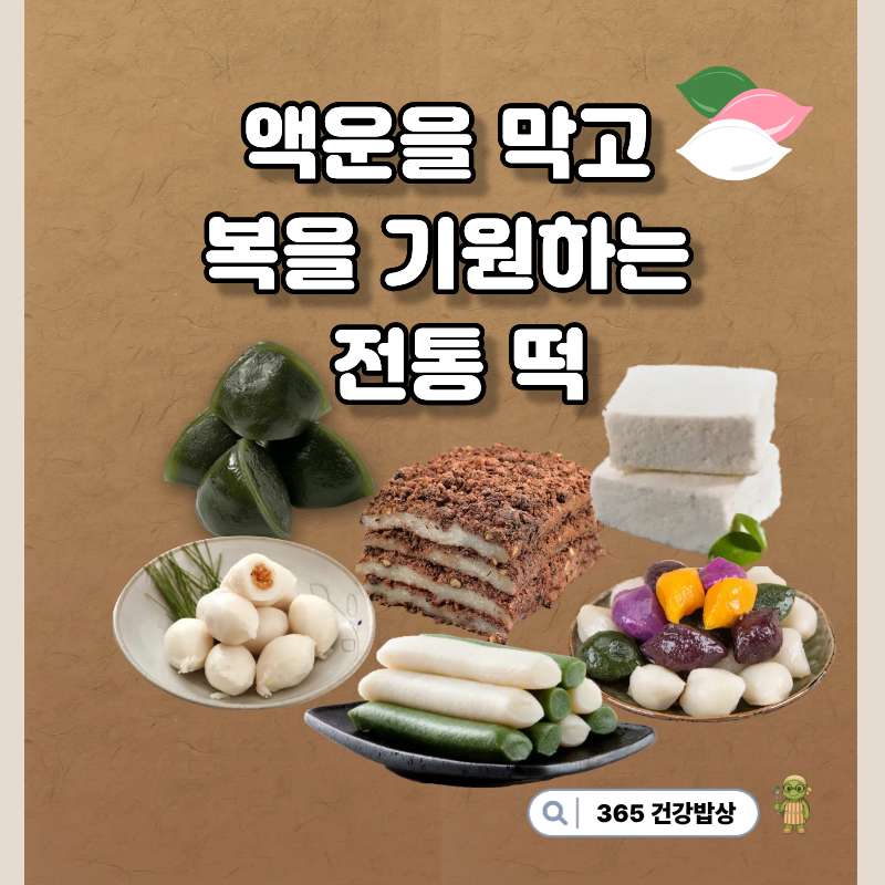 절기 & 행사별 떡 종류ㅣ영양성분 체크·말랑하게 만드는 조리법 & 보관 꿀팁