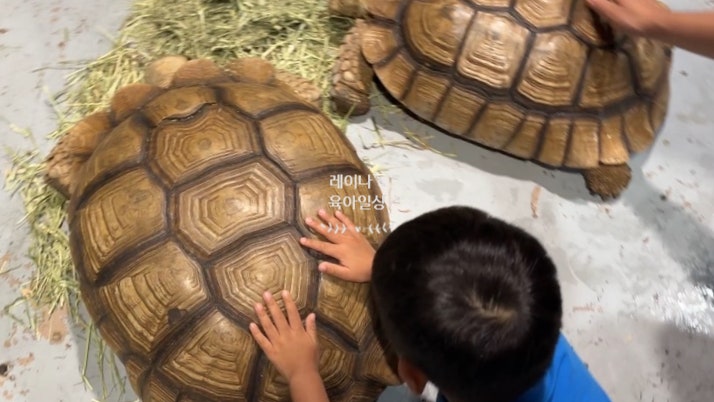 대구 아쿠아리움 할인 꿀팁 4살 아이와 다녀온 솔직 후기 (연간 하프이용권)
