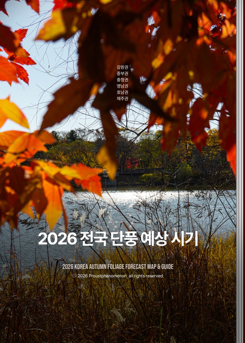 2026 단풍시기 절정 언제? 설악산부터 내장산까지 전국 단풍 예상일 총정리