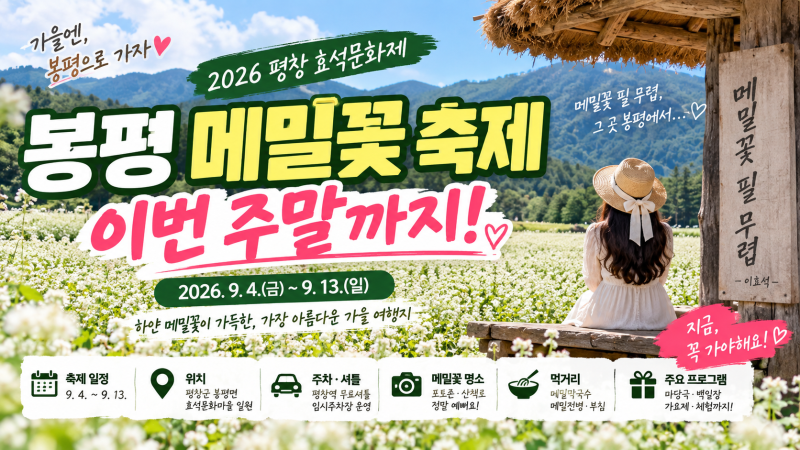 2026 봉평 메밀꽃 축제｜평창 효석문화제 일정·주차·셔틀·메밀꽃 개화 총정리