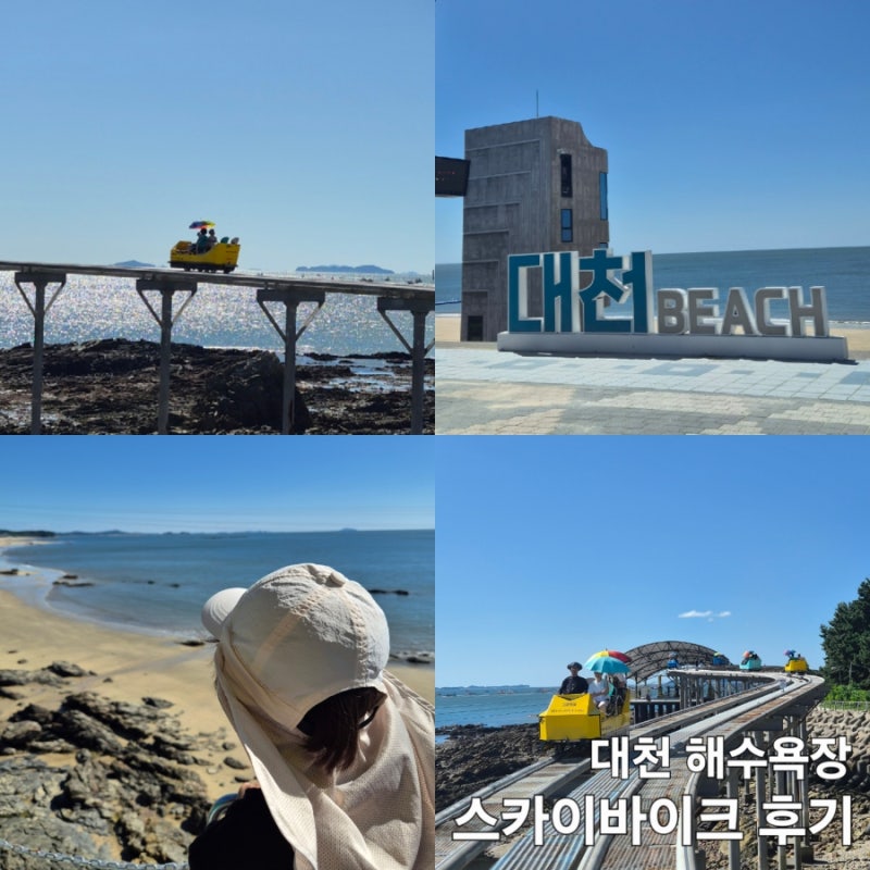 충남 보령 대천 해수욕장 스카이바이크 토요일 당일치기 후기