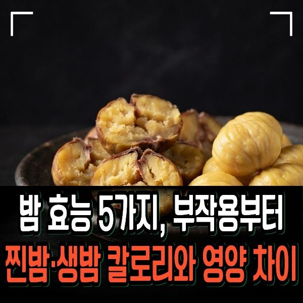 밤 효능 5가지, 부작용부터 찐밤·생밤 칼로리와 영양 차이까지