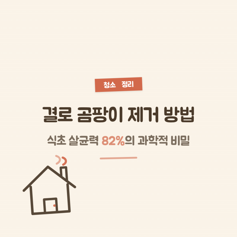 결로 곰팡이 제거 방법, 식초 살균력 82%의 과학적 비밀