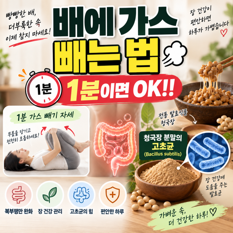 배에 가득한 가스 빼는 법 1분이면 OK!! 청국장 분말의 고초균까지 알아보기