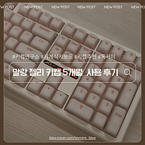 키캡연구소 말랑 젤리 키캡 독거미 기계식 키보드 용_5개월 사용 솔직후기 (내돈내산)