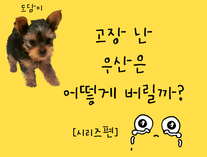 고장 난 우산은 어떻게 버릴까? 천·금속·플라스틱을 전부 분리해야 할까?