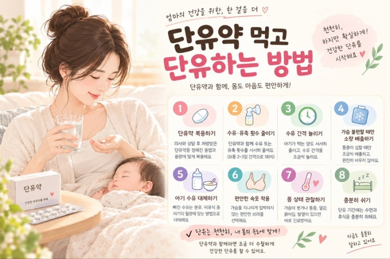 자연단유 실패｜유축량 줄이기부터 단유약까지 직접 해본 단유 후기 단유 방법 총정리