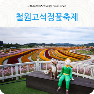 철원고석정 꽃밭 축제 가을여행 추천