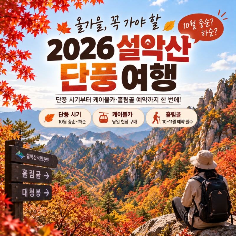 2026 단풍시기 언제? 설악산 첫단풍·절정 예상일과 여행 전 체크사항