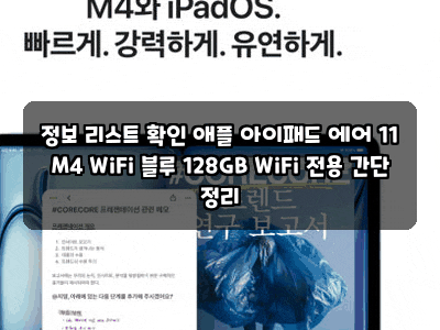 정보 리스트 확인 애플 아이패드 에어 11 M4 WiFi 블루 128GB WiFi 전용 간단 정리