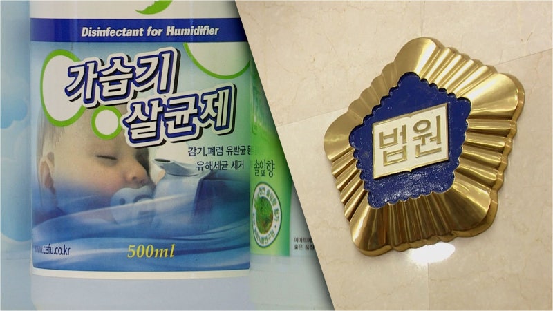 가습기 살균제 참사, 청년의 삶을 앗아간 보이지 않는 손