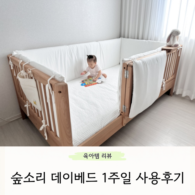 돌아기 침대 숲소리 포미오 데이베드 일주일 사용후기