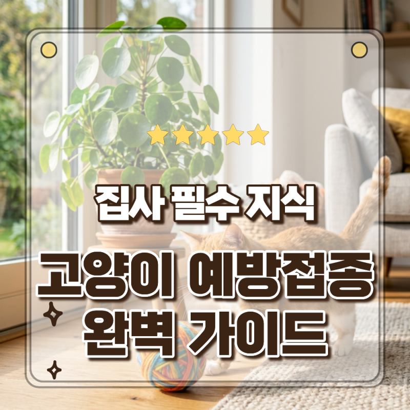 고양이 예방접종 완벽 가이드 아기 고양이 기초접종부터 성묘까지