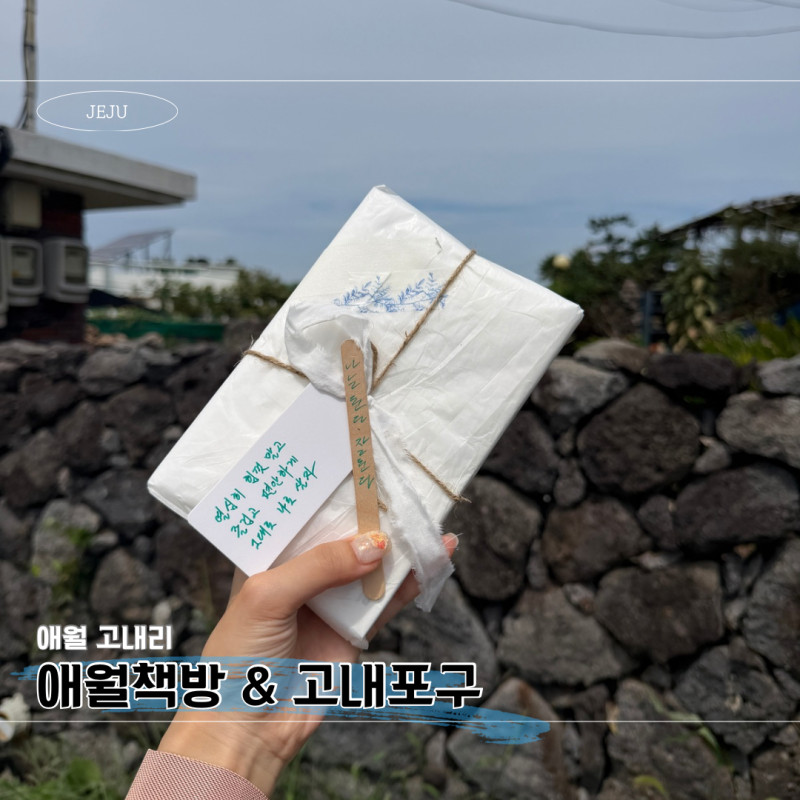[제주 여행] 애월 가볼 만한 곳, 고내리 ‘애월책방 이다’, ‘고내포구’