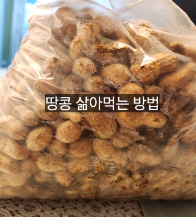 햇땅콩 삶는법｜풋땅콩 제철 시기와 영양성분, 삶은 땅콩 레시피