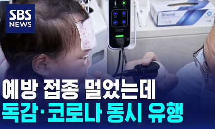 코로나19 다시 유행한다고? 독감 인플루엔자 증상 차이 코로나 자가 진단 키트 검사 방법 알....