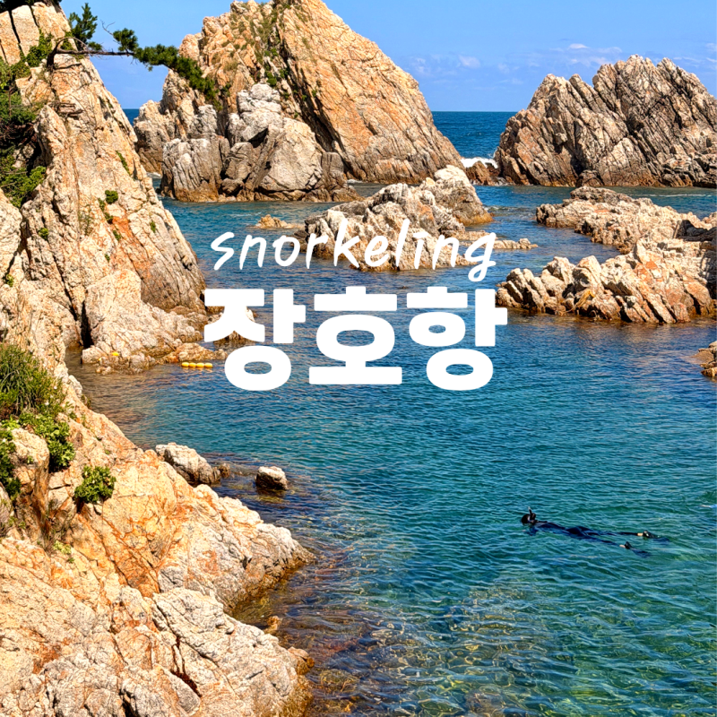 강원도 삼척 장호항 어촌체험마을 스노쿨링 9월 마지막 여름 물놀이