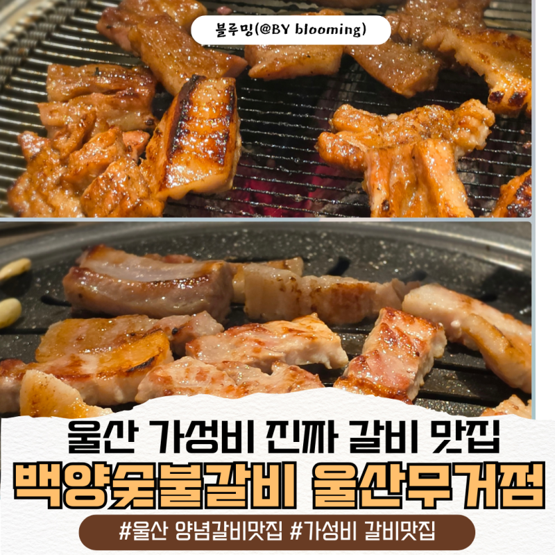 울산 무거동 갈비 맛집 울산백양숯불갈비 가성비 갈비 맛집