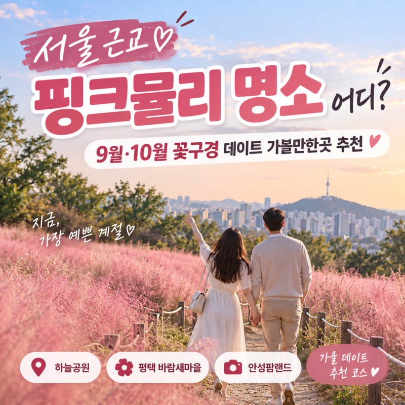서울 근교 핑크뮬리 명소 어디?｜9월·10월 꽃구경 데이트 가볼만한곳 추천