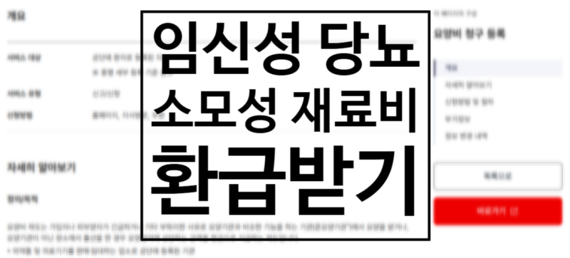 [임신성당뇨] 당뇨병 환자 소모성 재료비 환급받기｜필요 서류｜혈당측정기｜케어센스N｜건....