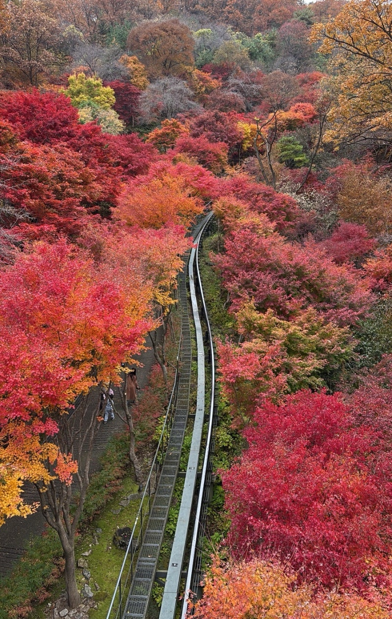 화담숲 예약팁 화담숲 단풍 절정 시기 화담숲 번지 없는 주막