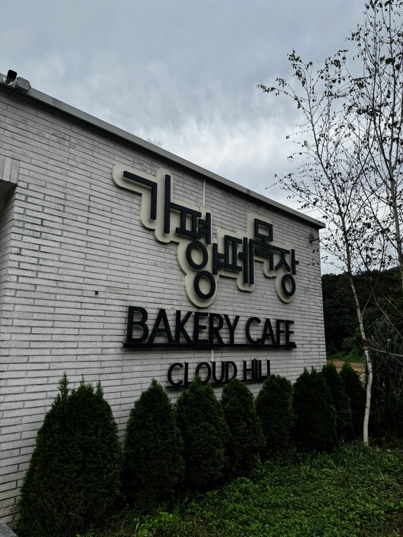 Places to Visit with Kids in Gapyeong: My Review of Gapyeong Sheep Farm with a 24-Month-Old Baby