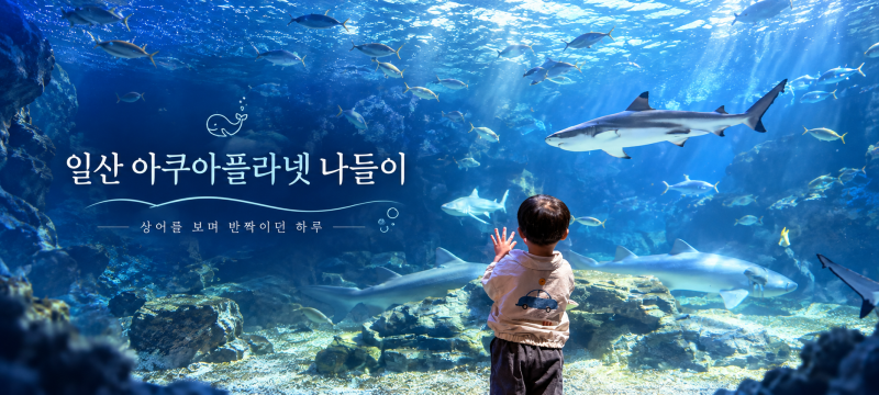 [가족 나들이]27개월 아기와 온 가족이 반한 일산 아쿠아플라넷 완벽 총정리! (이용시간/주차/....
