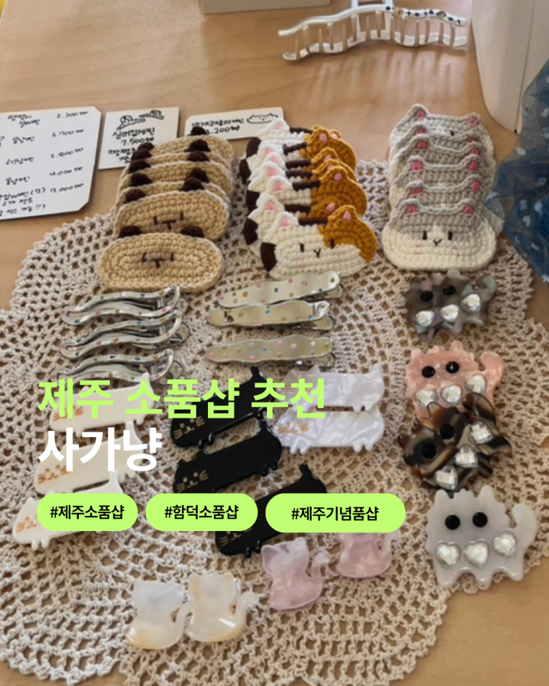 제주 소품샵 사가냥｜함덕에서 만난 고양이 가득한 제주 기념품샵