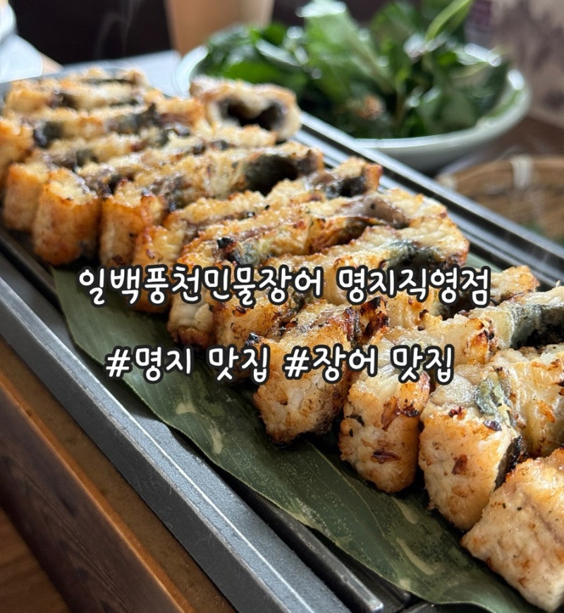 [부산 명지] 명지맛집 일백풍천민물장어 명지직영점 점심특선 풍천장어솥밥정식 2인 후기