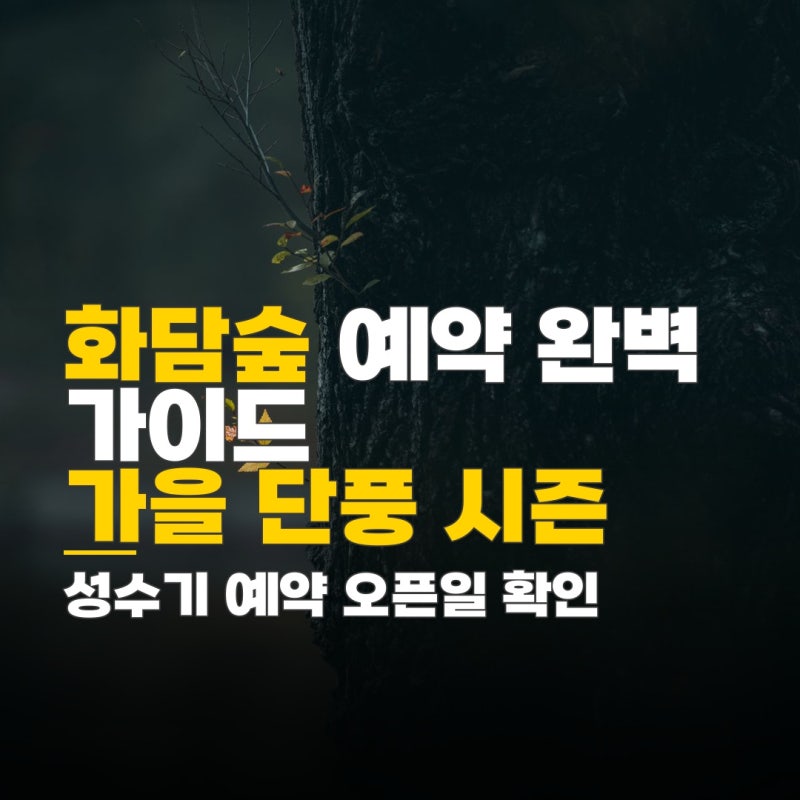 곤지암리조트 화담숲 가는법, 성수기 예약 오픈일과 단풍 시즌 완벽 정리