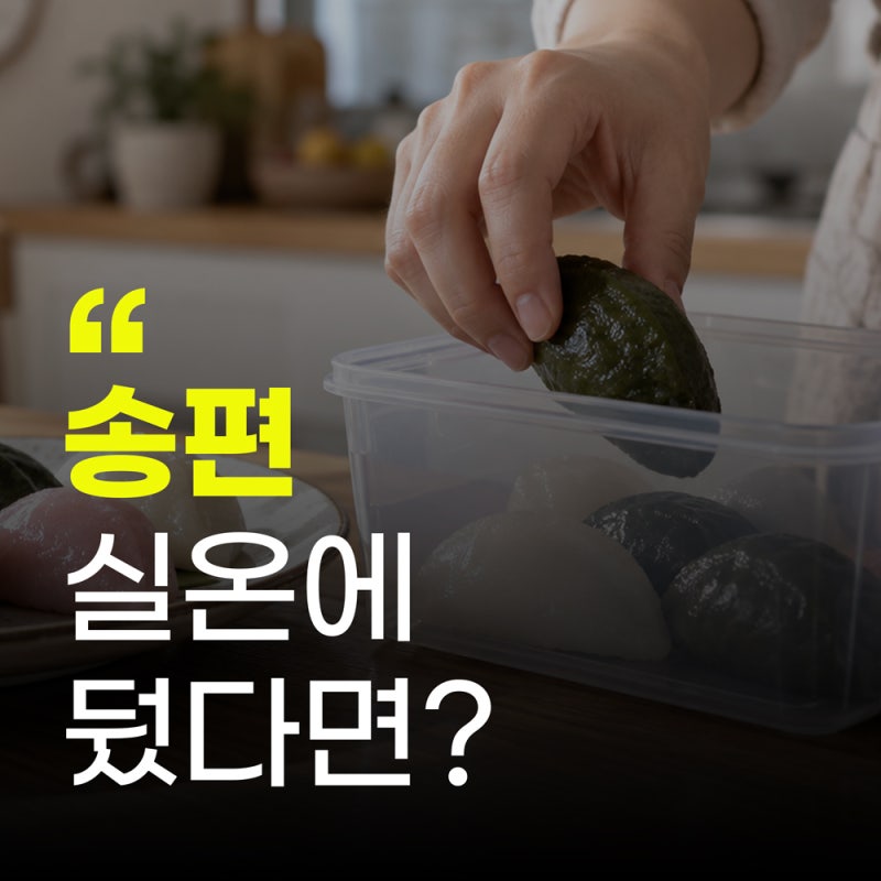 송편 하루 종일 식탁에 뒀다면? 다시 먹기 전 ‘2시간’ 확인하세요
