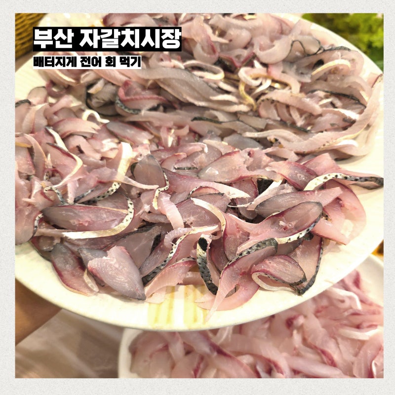 부산 자갈치시장 횟집에서 가성비 좋은 가격으로 배터지게 전어 회 먹기