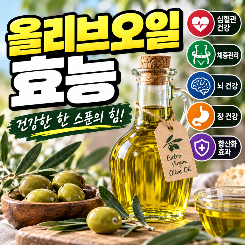 올리브오일 효능 매일 먹으면 좋을까?｜하루 섭취량·공복·엑스트라버진 먹는법 총정리