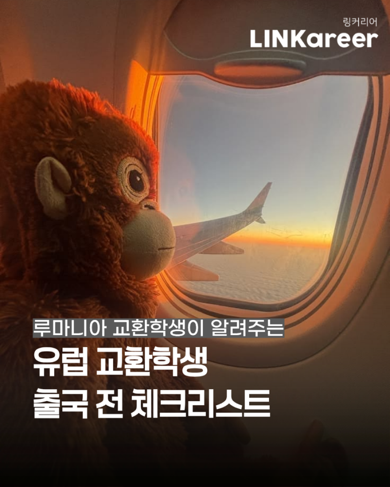 [루마니아 교환학생이 알려주는] 유럽 교환학생 출국 전 체크리스트