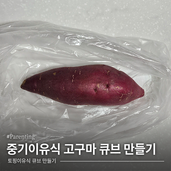 [이유식] 중기이유식 고구마 큐브 만들기 (퍼기 찜기)